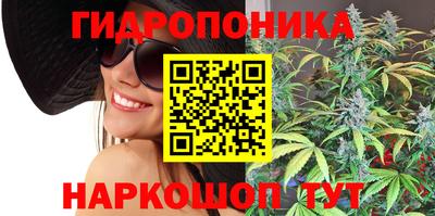 хмурый Троицк