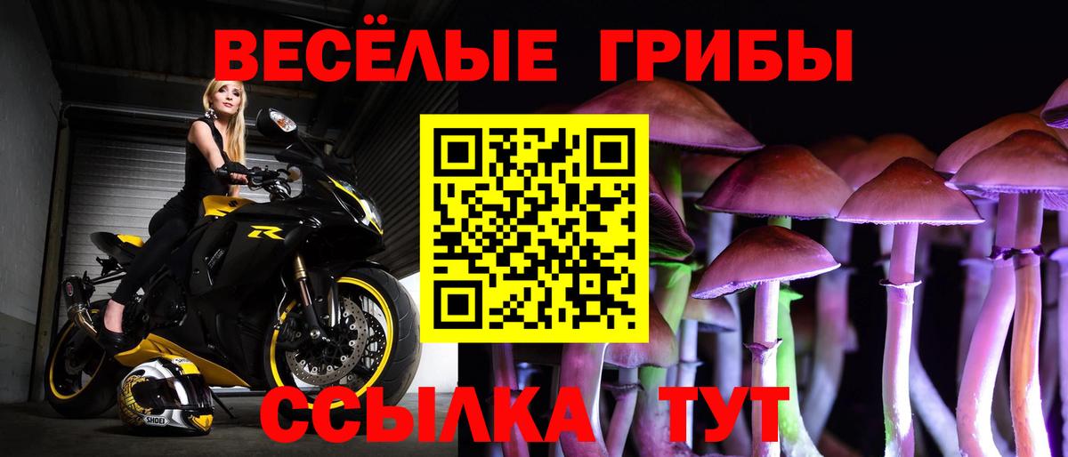 Краснокаменск  Галлюциногенные грибы прущие грибы  Псилоцибиновые грибы MAGIC MUSHROOMS  где купить   Вход с VPN 